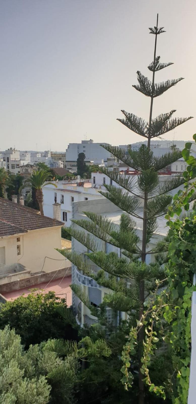 Guesthouse Kasbah Old Medina Tanger Esterno foto